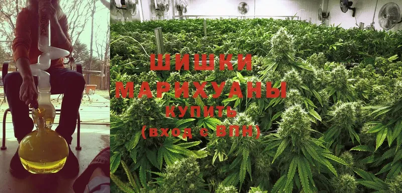 Марихуана SATIVA & INDICA  Отрадный 